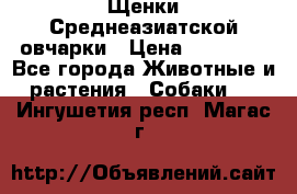 Щенки Среднеазиатской овчарки › Цена ­ 30 000 - Все города Животные и растения » Собаки   . Ингушетия респ.,Магас г.